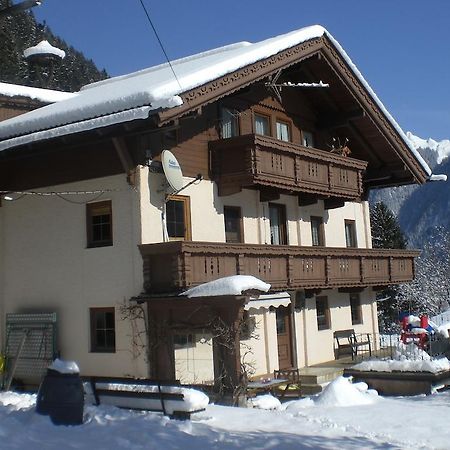 Haus Alpengruss Appartement Finkenberg Buitenkant foto